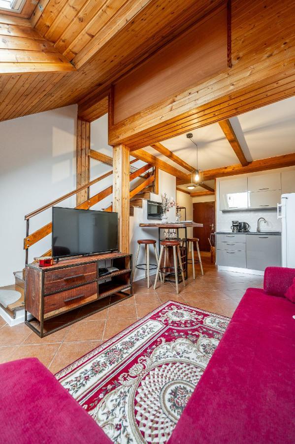Apartman Mezonet Na Namesti 科希策 外观 照片