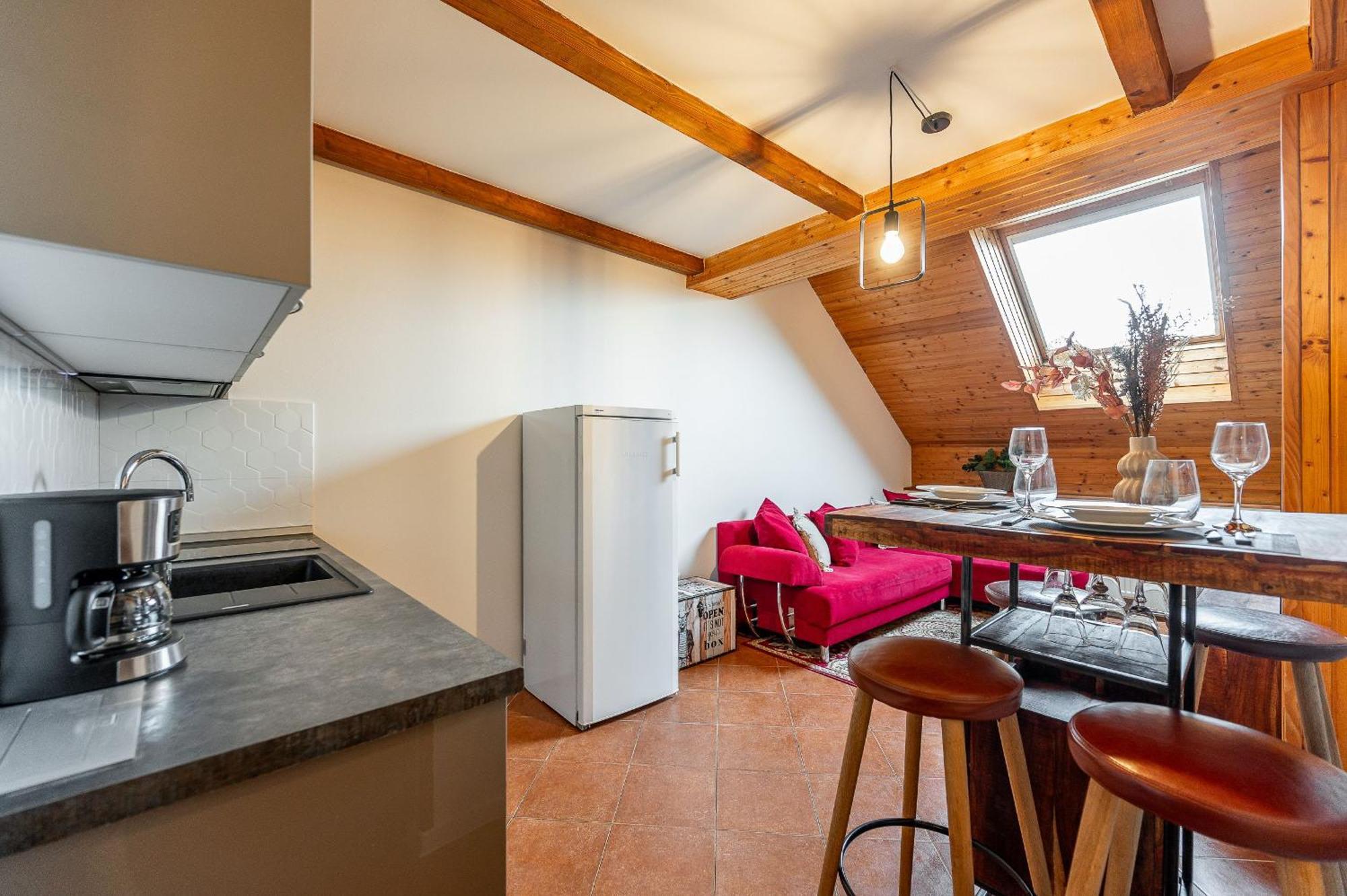 Apartman Mezonet Na Namesti 科希策 外观 照片